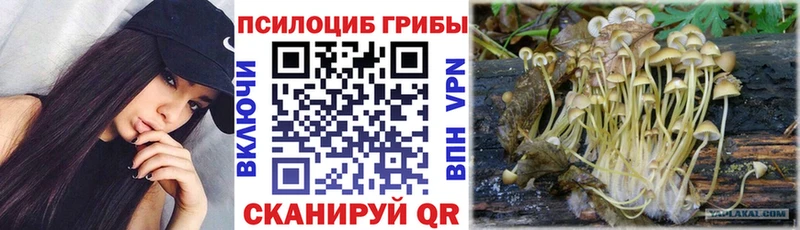 Псилоцибиновые грибы мицелий Чусовой